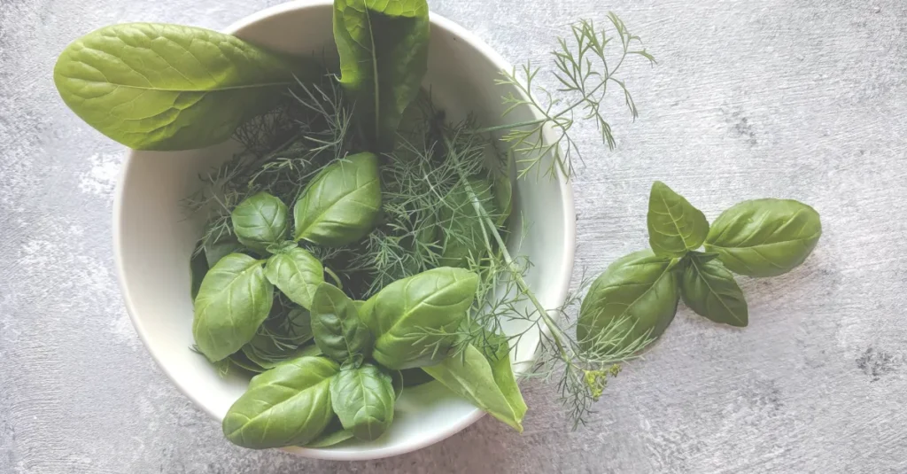 Fresh longevity spinach